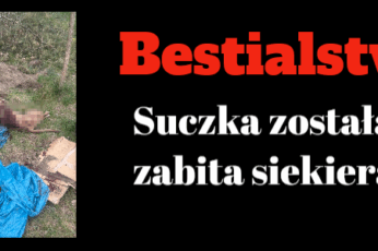 bestialstwo