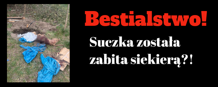 bestialstwo