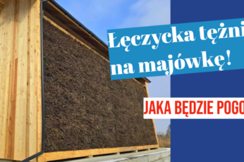 tężnia