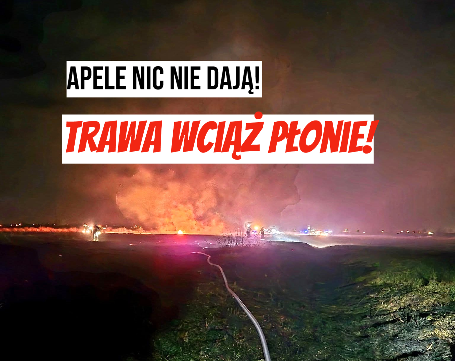 płonie trawa