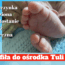 tuli luli