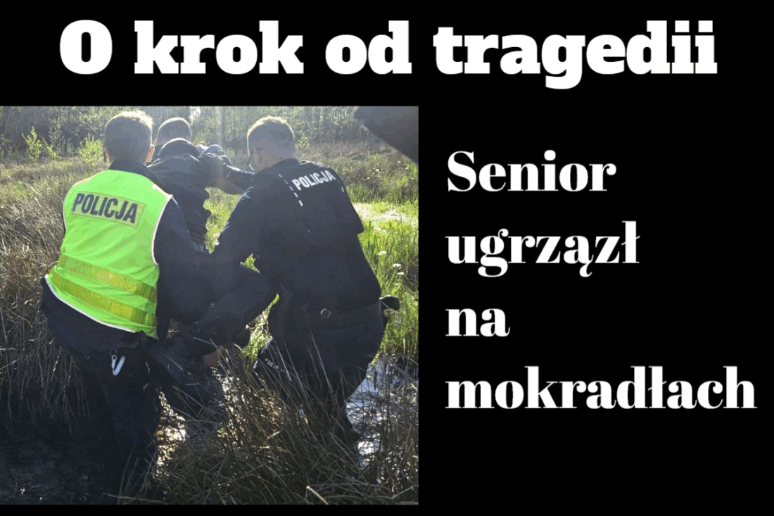 dramat