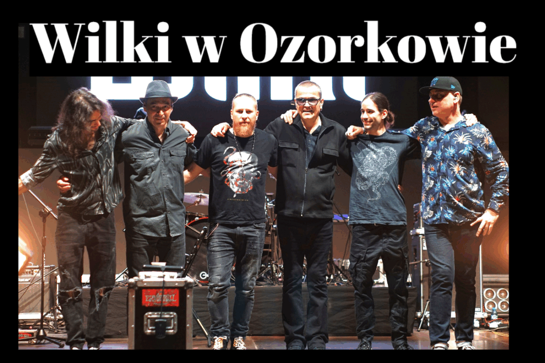 wilki