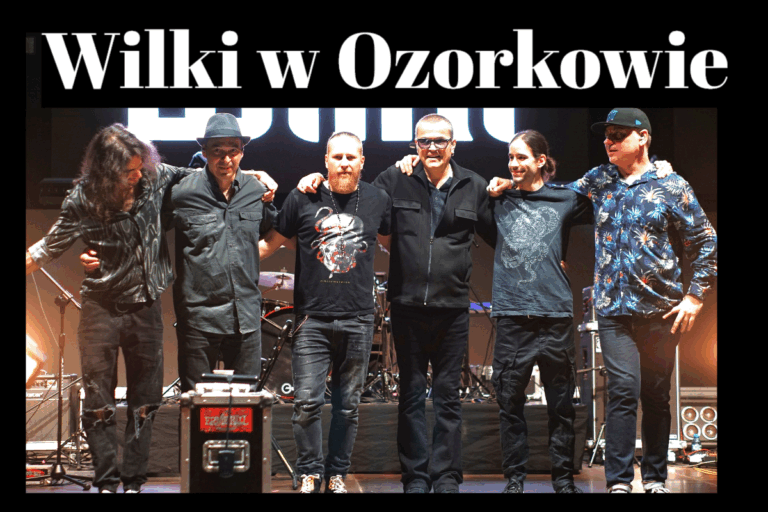 wilki