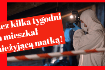 dramat