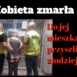 złodzieje