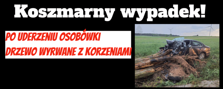 wypadek