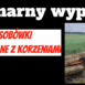 wypadek