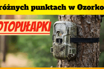 fotopułapki