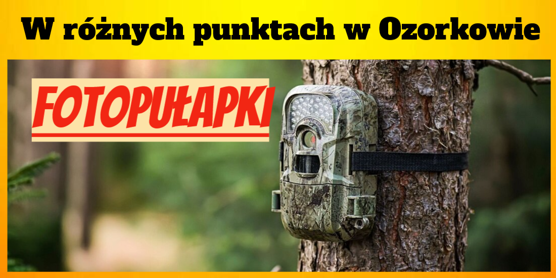 fotopułapki