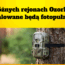 fotopułapki