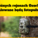 fotopułapki