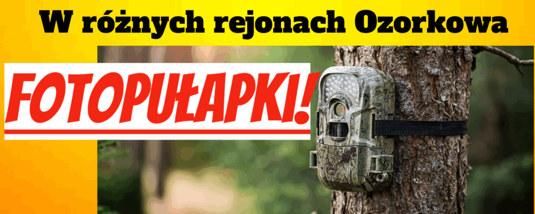 fotopułapki