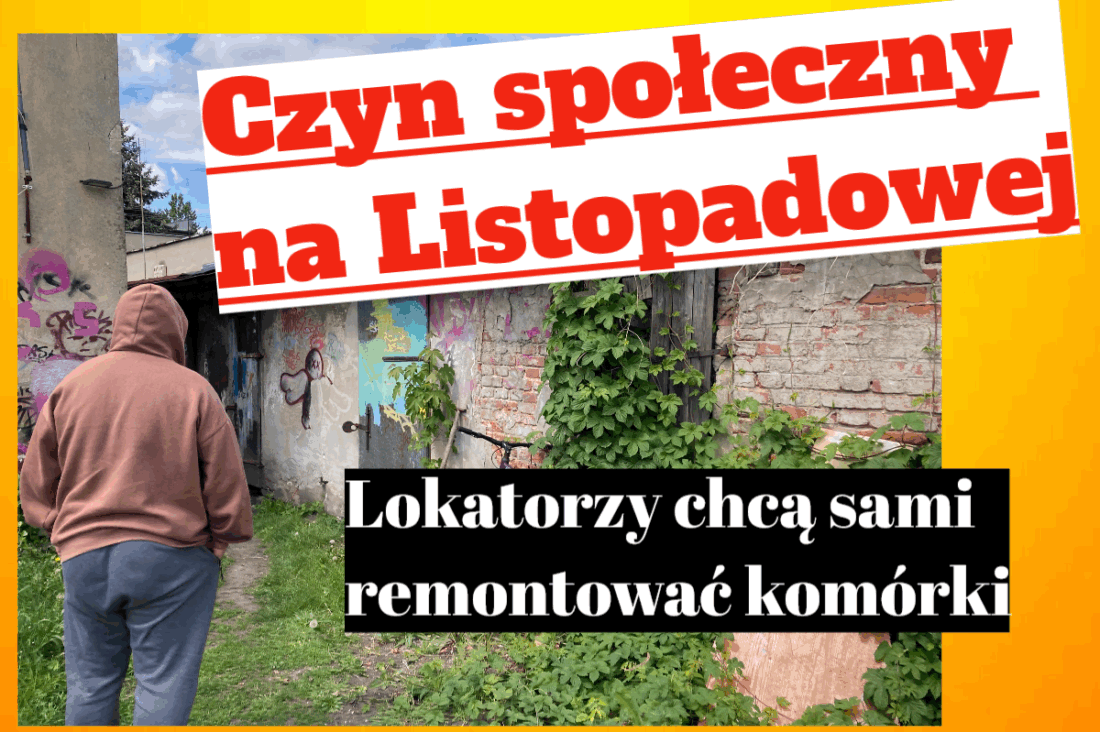 komórki
