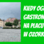ogródek gastronomiczny