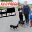 walka o progi