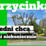 przycinka