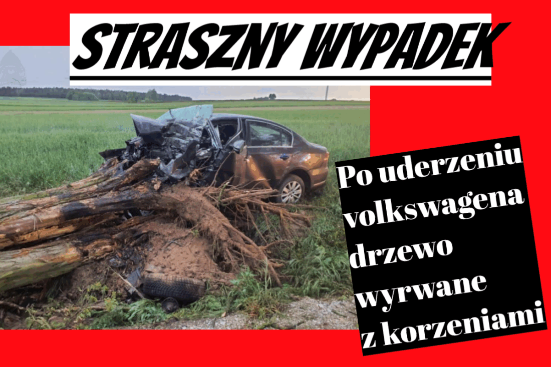 wypadek
