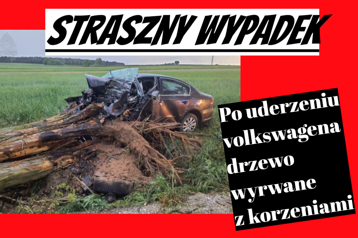 wypadek