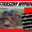 wypadek