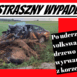 wypadek