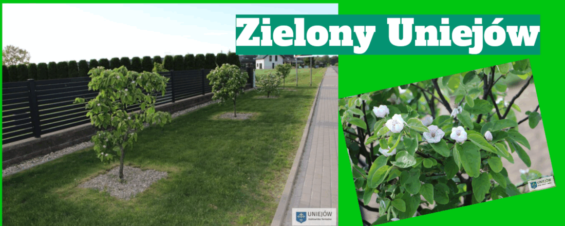 zielony uniejów