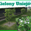 zielony uniejów