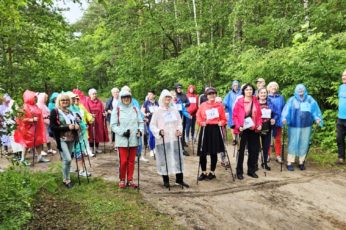 nordic walking
