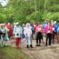 nordic walking