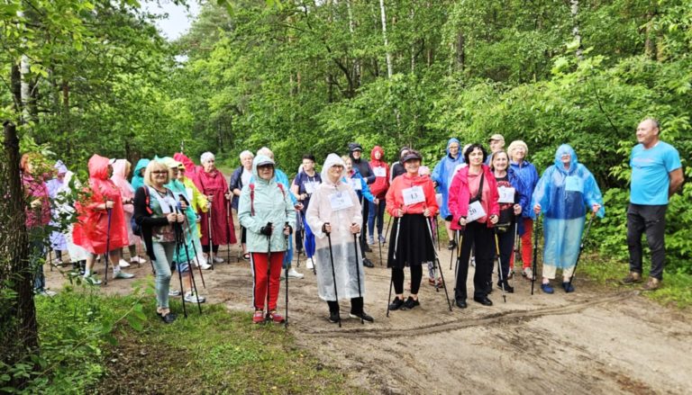 nordic walking