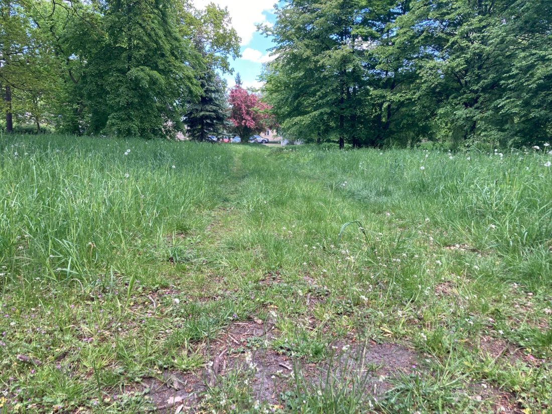park