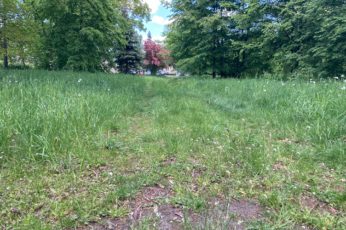 park