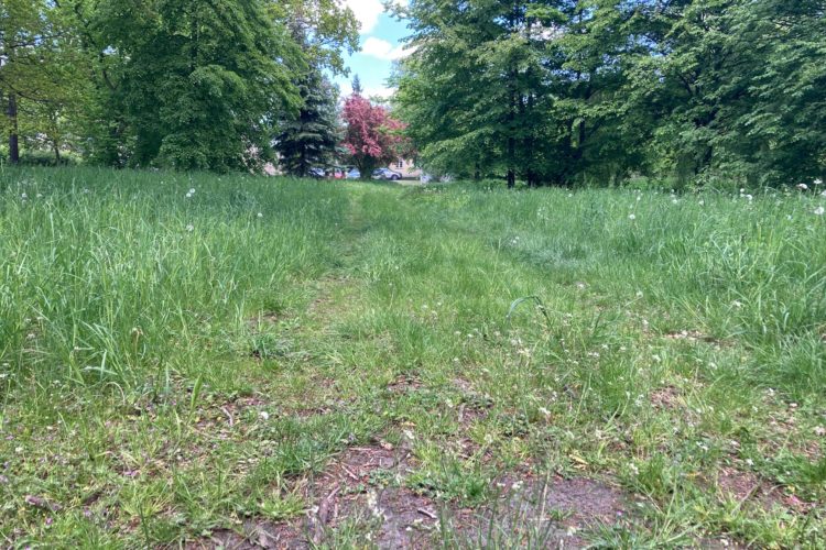park