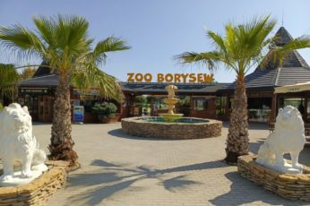 zoo