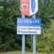 witacz
