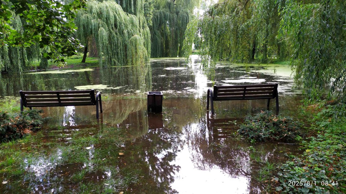 zalany park