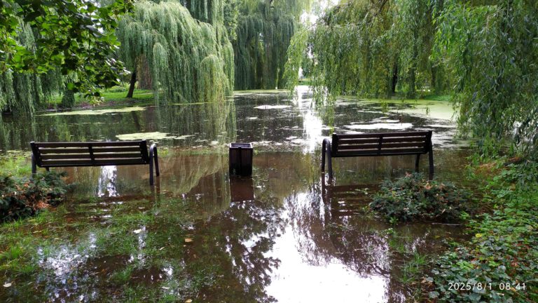 zalany park