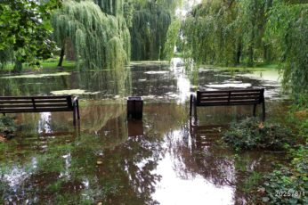 zalany park
