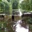 zalany park