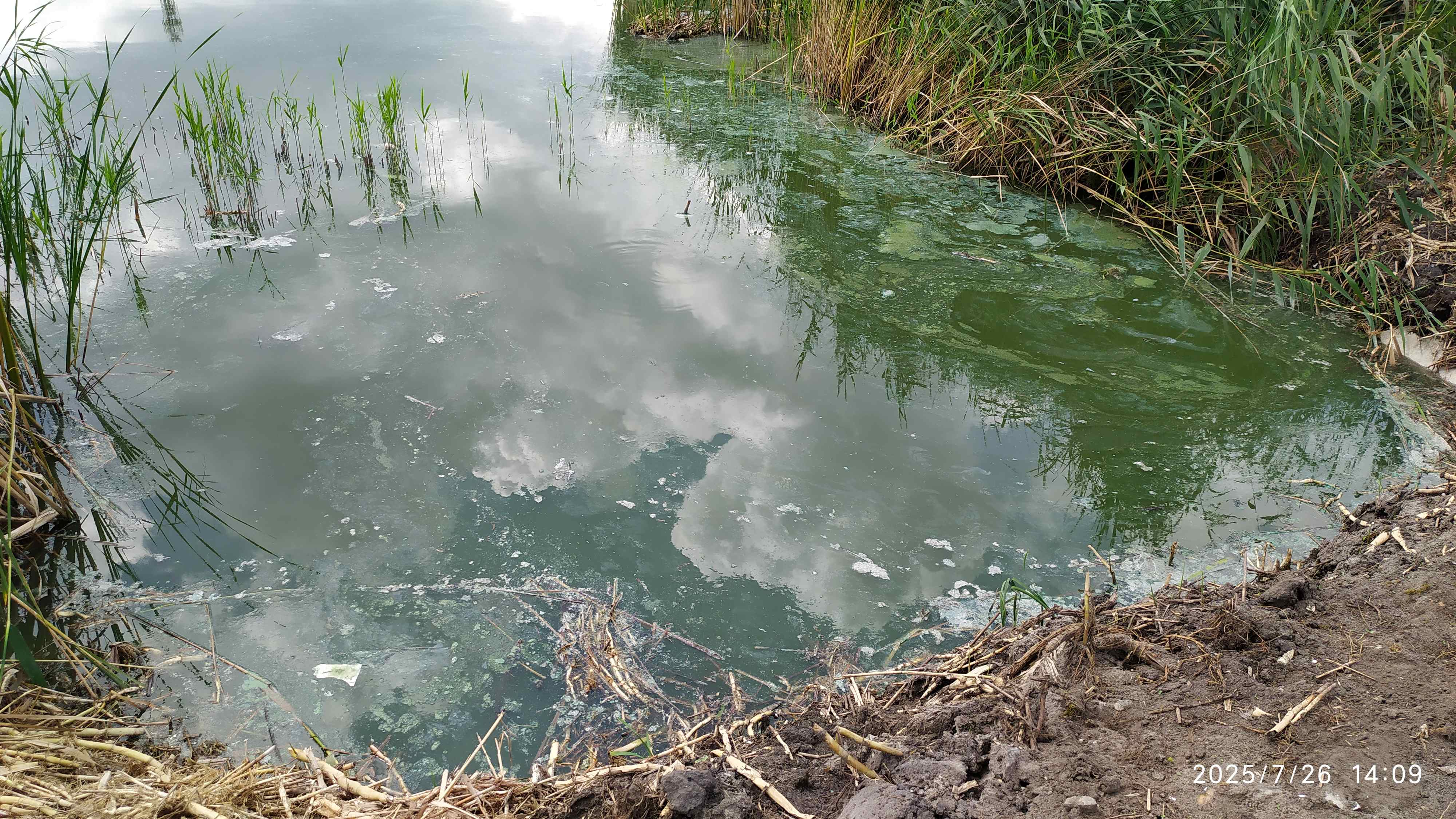 Woda w zalewach w Łęczycy jak gęsta zupa – informują mieszkańcy