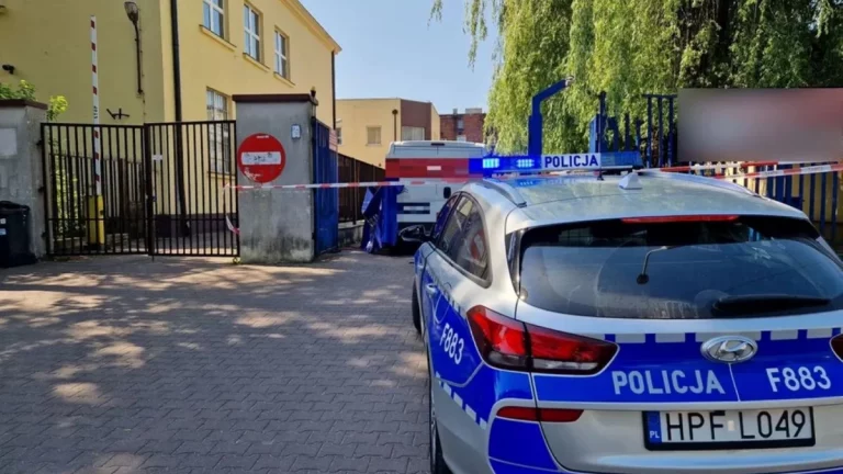 policja