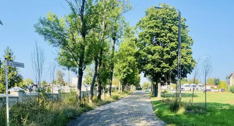 cmentarna