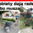 praca