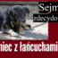 koniec z łańcuchami