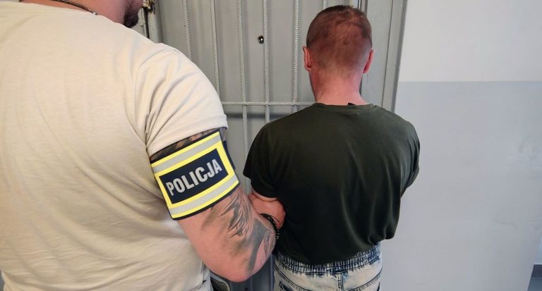 pirat drogowy