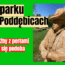 rzeźby