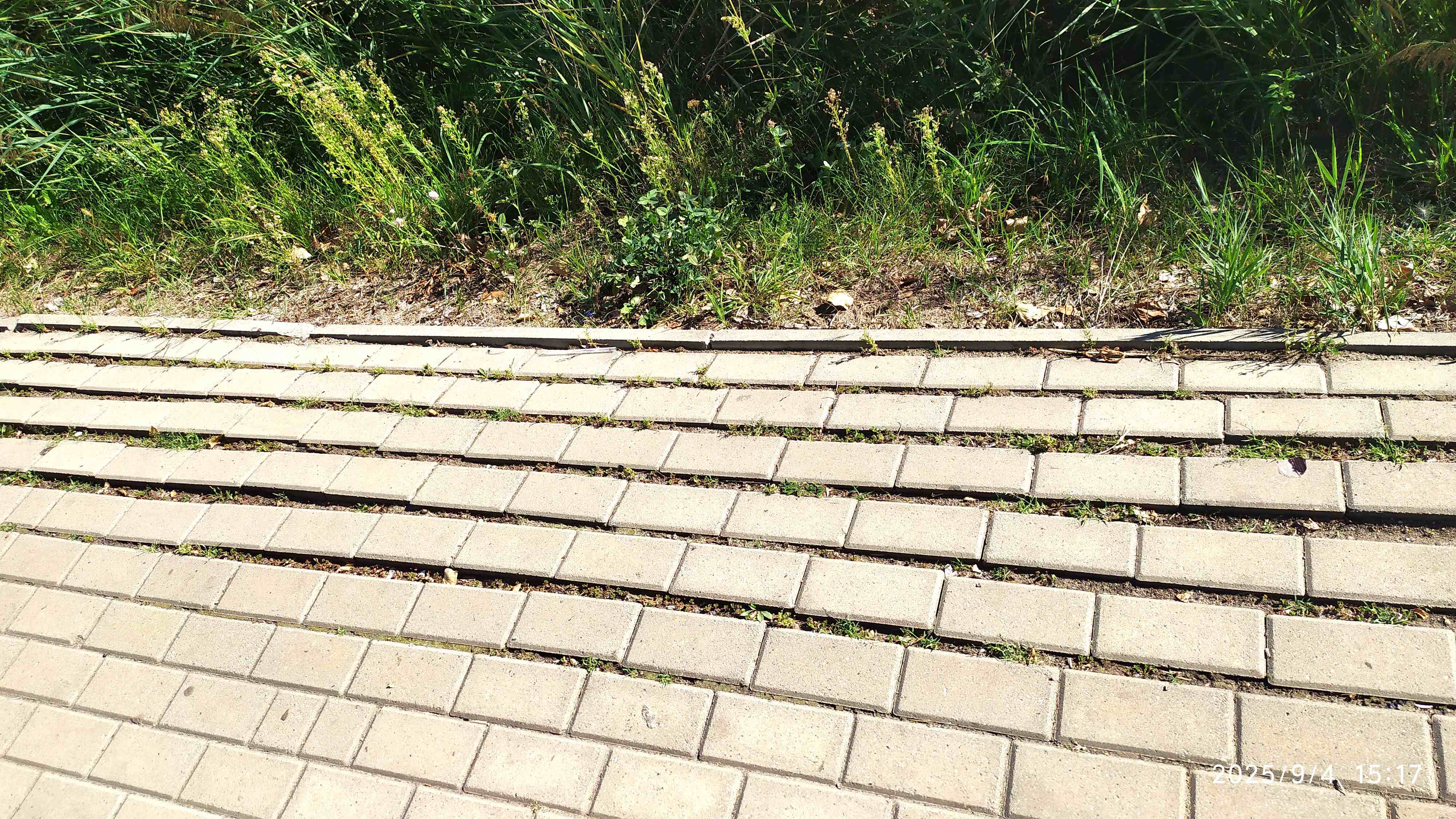 Rowerzyści oceniają w Łęczycy: „nie jest najlepiej”…