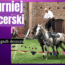 turniej