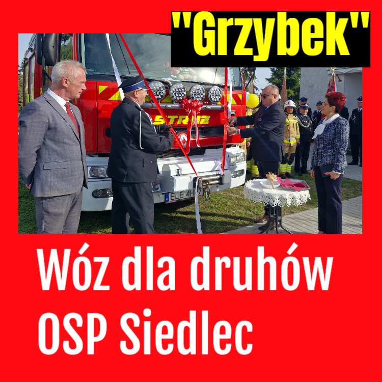osp