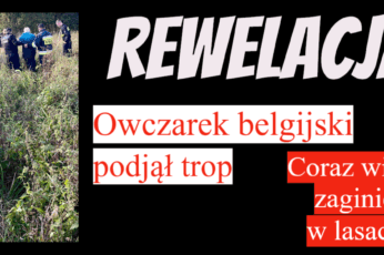 zaginięcia